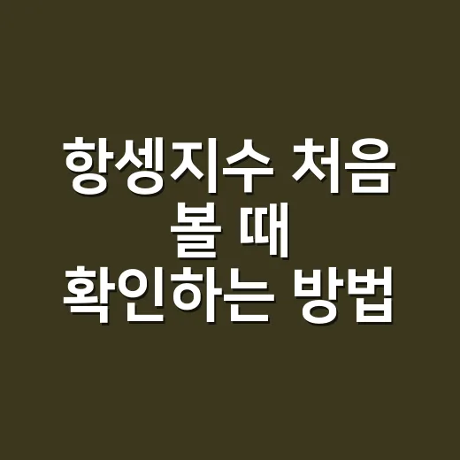 항셍지수 처음 볼 때 확인하는 방법 - 요약