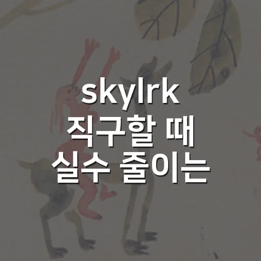 skylrk 직구할 때 실수 줄이는 방법 - 요약