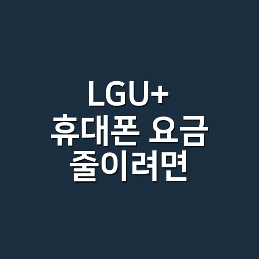 LGU+ 휴대폰 요금 줄이려면 이렇게 확인하세요 - 요약