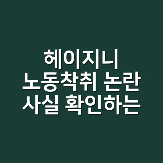 헤이지니 노동착취 논란 사실 확인하는 방법 - 요약