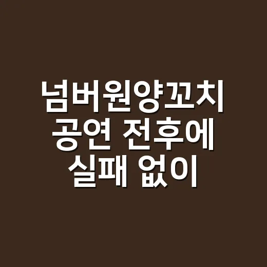 넘버원양꼬치 공연 전후에 실패 없이 즐기려면 이렇게 고르세요 - 요약