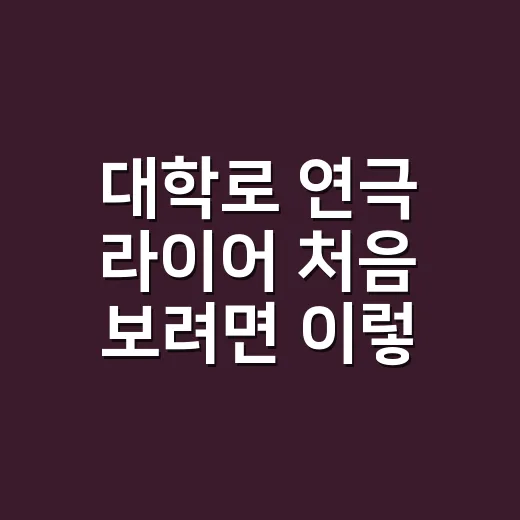 대학로 연극 라이어 처음 보려면 이렇게 예매하고 자리 고르는 방법 - 요약