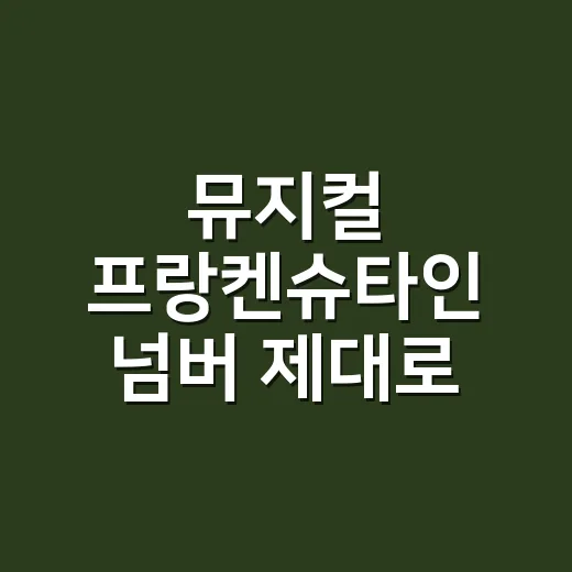 뮤지컬 프랑켄슈타인 넘버 제대로 듣는 방법, 처음 보는 관객을 위한 감상 순서 - 요약