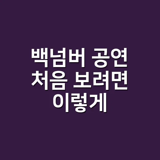 백넘버 공연 처음 보려면 이렇게, 예매부터 좌석 선택까지 놓치지 않는 방법 - 요약