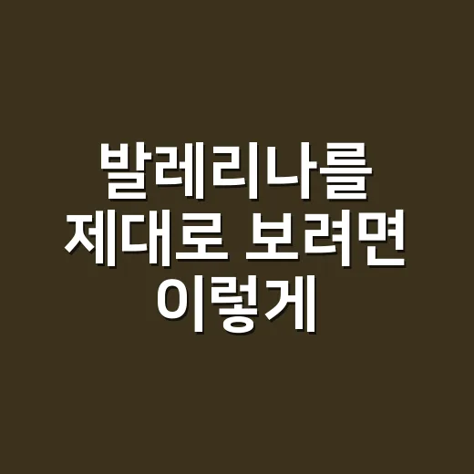 발레리나를 제대로 보려면 이렇게, 무대 위 움직임 읽는 방법 - 요약