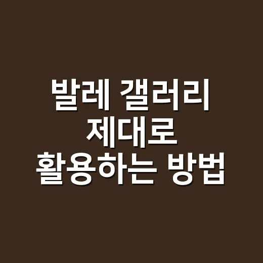 발레 갤러리 제대로 활용하는 방법, 후기부터 좌석 선택까지 - 요약