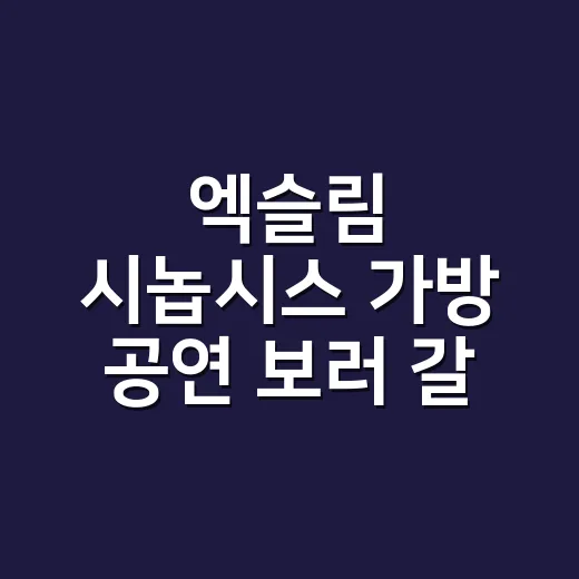엑슬림 시놉시스 가방 공연 보러 갈 때 고르는 방법 - 요약