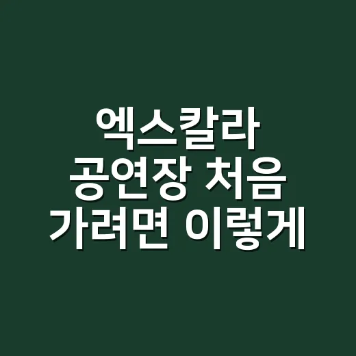 엑스칼라 공연장 처음 가려면 이렇게: 좌석, 동선, 관람 포인트 잡는 방법 - 요약