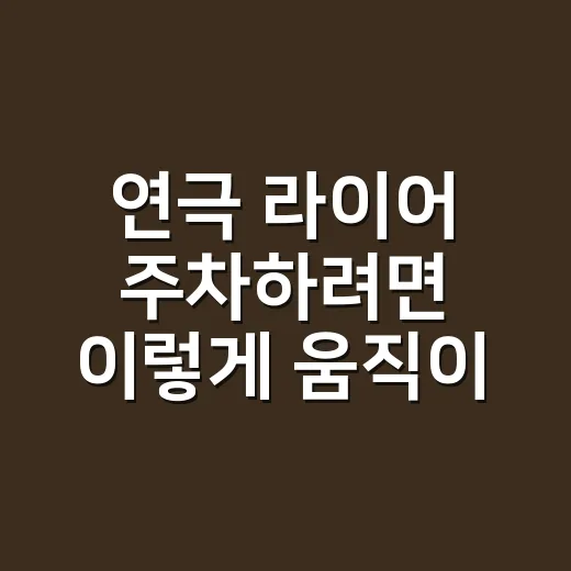연극 라이어 주차하려면 이렇게 움직이면 덜 헤맵니다 - 요약