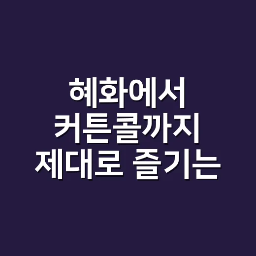 혜화에서 커튼콜까지 제대로 즐기는 방법 - 요약