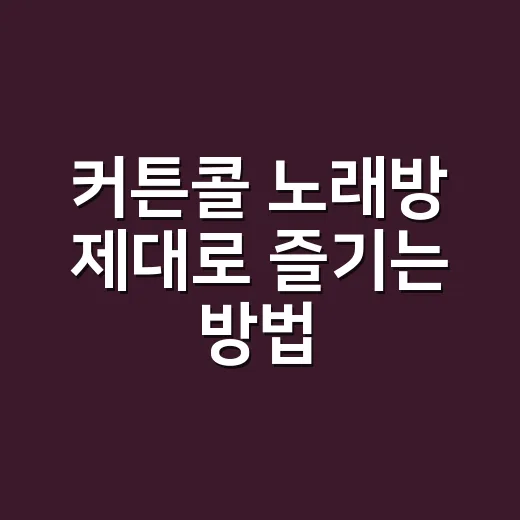 커튼콜 노래방 제대로 즐기는 방법, 공연장 민폐 없이 떼창하는 법 - 요약
