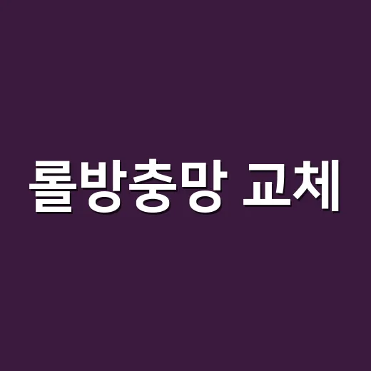 롤방충망 교체, 직접 해도 괜찮을까요? - 요약