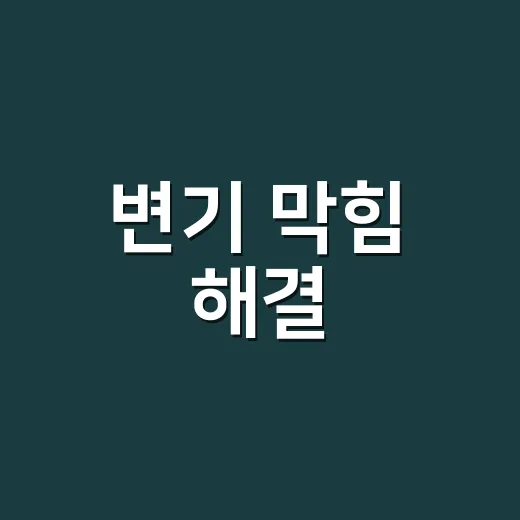 변기 막힘 해결, 뚫어뻥으로 안 되면 어디까지 해도 될까요? - 요약