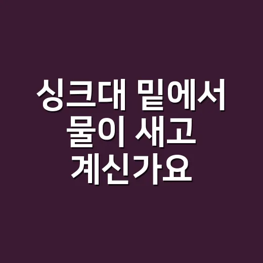 싱크대 밑에서 물이 새고 계신가요? 출장 부르기 전에 볼 곳은 어디일까요? - 요약