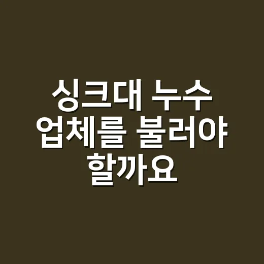 싱크대 누수 업체를 불러야 할까요, 30초 점검으로 끝날까요? - 요약