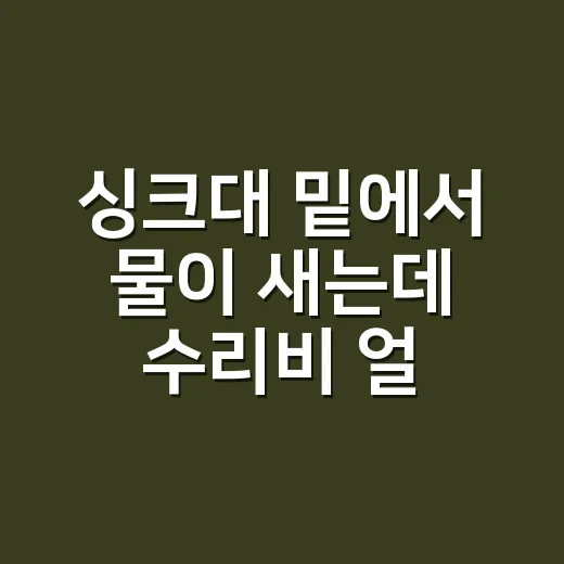 싱크대 밑에서 물이 새는데 수리비 얼마나 나올까요? - 요약