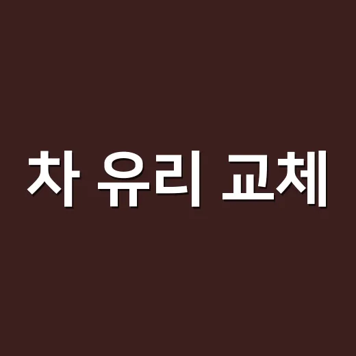 차 유리 교체, 금만 갔는데 바로 바꿔야 할까요? - 요약