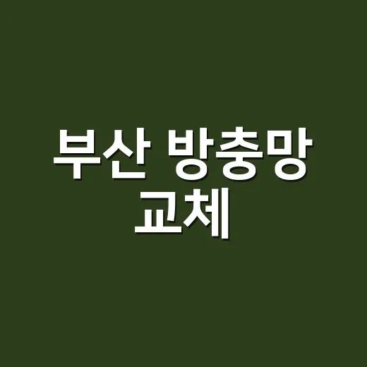 부산 방충망 교체, 지금 꼭 해야 할까요? - 요약