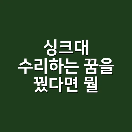 싱크대 수리하는 꿈을 꿨다면 뭘 확인해야 할까요? - 요약