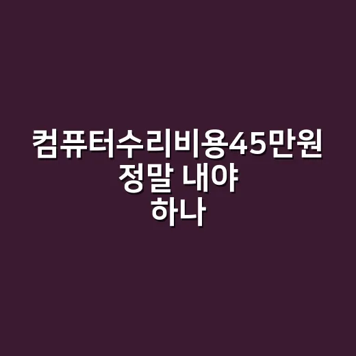 컴퓨터수리비용45만원 정말 내야 하나요? - 요약