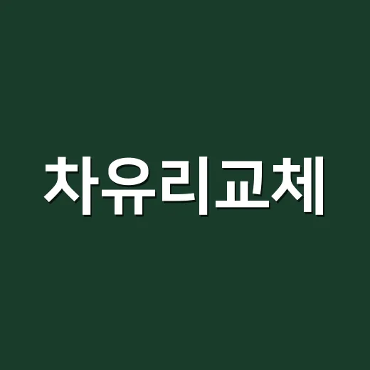 차유리교체, 돌빵 하나에도 꼭 해야 할까요? - 요약