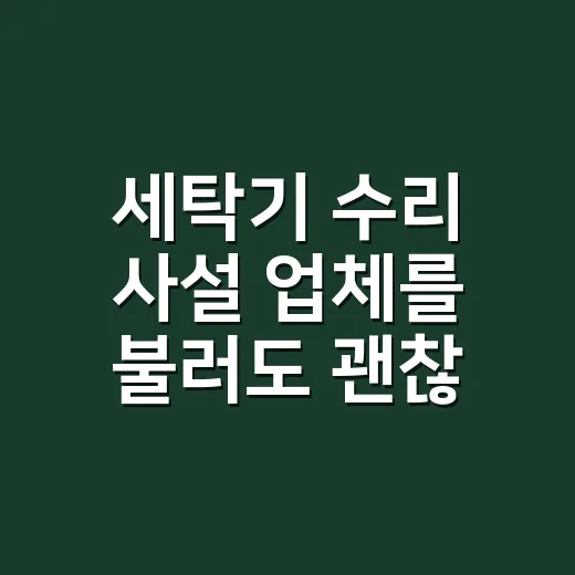세탁기 수리 사설 업체를 불러도 괜찮을까요? - 요약