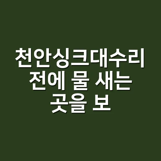 천안싱크대수리 전에 물 새는 곳을 보셨나요? - 요약
