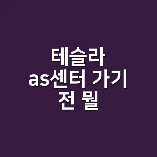 테슬라 as센터 가기 전 뭘 확인해야 할까요? - 요약