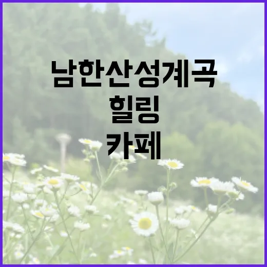 남한산성 계곡 카페에서 즐기는 힐링 타임 - 요약