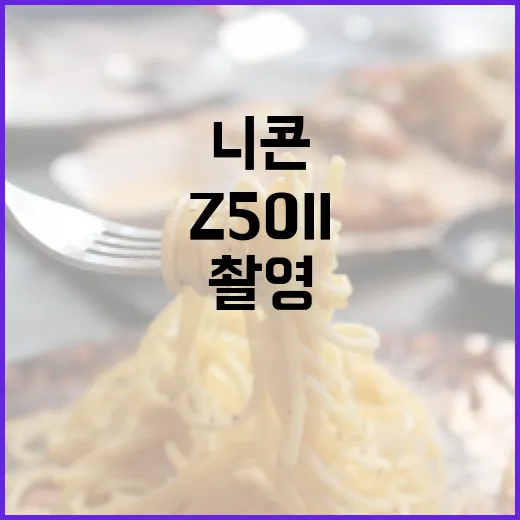 니콘 Z50II로 사진 촬영을 즐기는 방법 - 요약