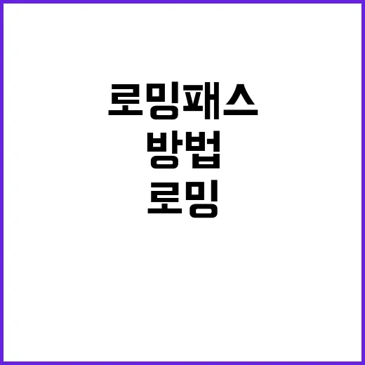 로밍패스 제대로 활용하는 방법 - 요약