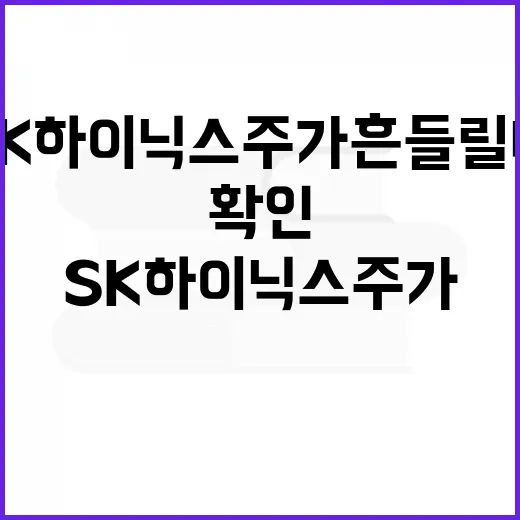 SK하이닉스 주가 흔들릴 때 확인하는 방법 - 요약