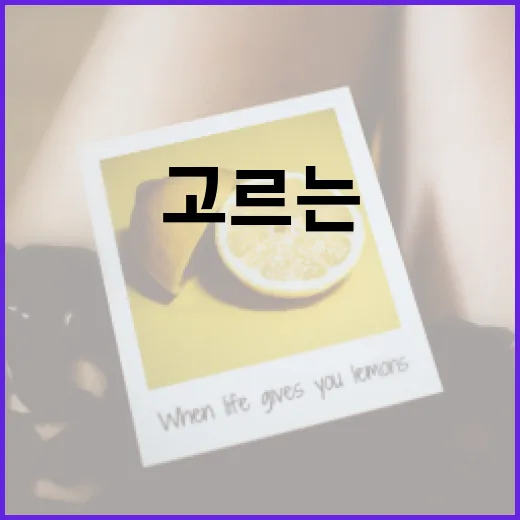 펜탁스 옵티오 E50 중고로 고르는 방법 - 요약