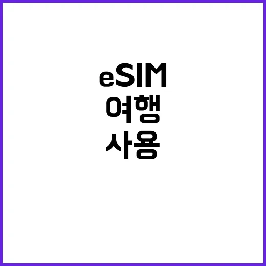 초보자를 위한 ESIM 사용하는 방법, 여행 전 이렇게 준비하면 편해요 - 요약