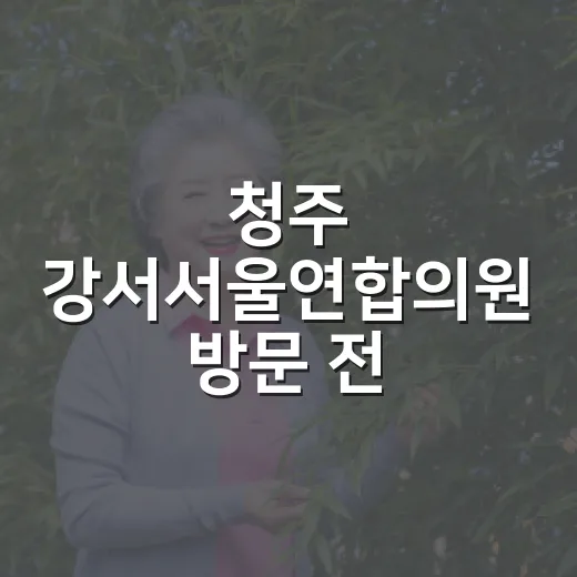 청주 강서서울연합의원 방문 전 챙기면 좋은 확인 방법 - 요약