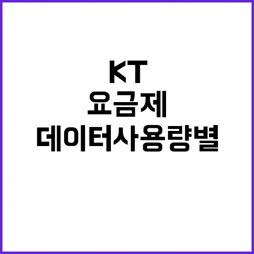 KT요금제 고르는 방법, 데이터 사용량별로 이렇게 보면 쉬워요 - 요약