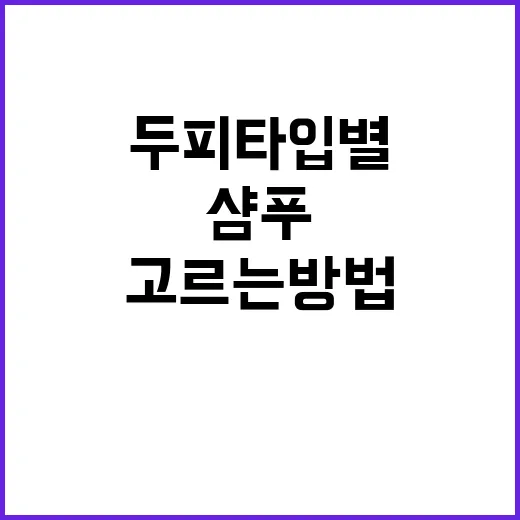 샴푸추천 제대로 고르는 방법, 두피 타입별로 이렇게 보면 쉬워요 - 요약