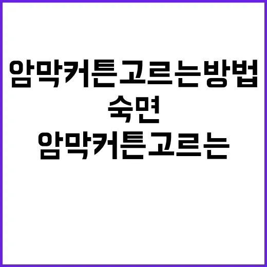 암막커튼 고르는 방법, 방 분위기와 숙면까지 챙기려면 이렇게 - 요약