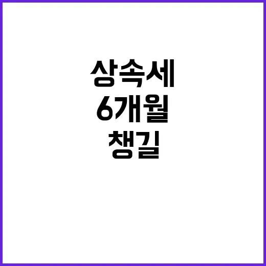상속세 처음 준비하는 방법, 6개월 안에 챙길 것들 - 요약