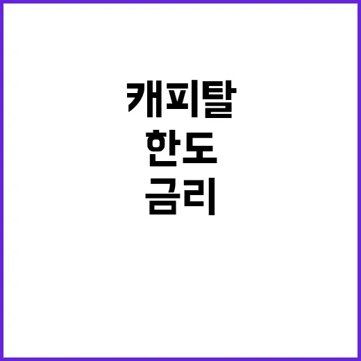 캐피탈 이용하려면 이렇게 확인하세요: 초보자를 위한 금리·한도·상환 방법 - 요약