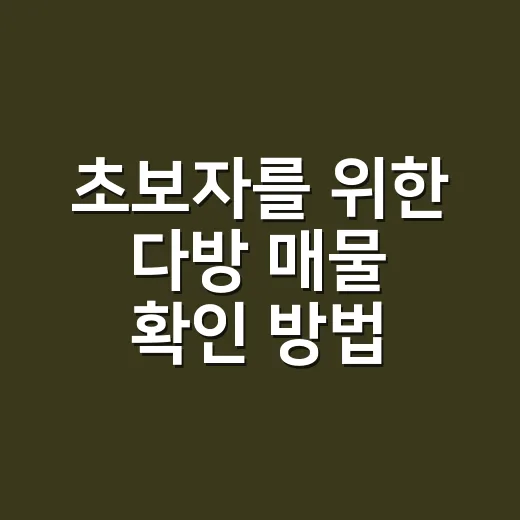 초보자를 위한 다방 매물 확인 방법, 헛걸음 줄이는 현실 팁 - 요약