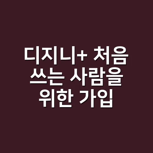디지니+ 처음 쓰는 사람을 위한 가입 전 체크 방법 - 요약