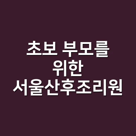 초보 부모를 위한 서울산후조리원 고르는 방법 - 요약