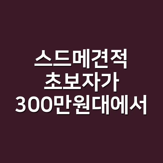 스드메견적 초보자가 300만원대에서 맞추는 방법 - 요약