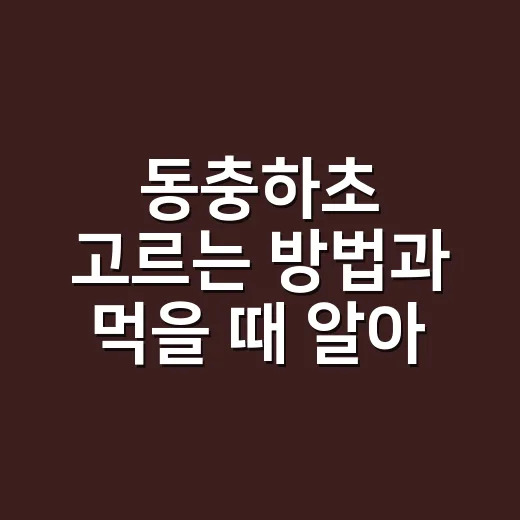 동충하초 고르는 방법과 먹을 때 알아두면 좋은 것들 - 요약