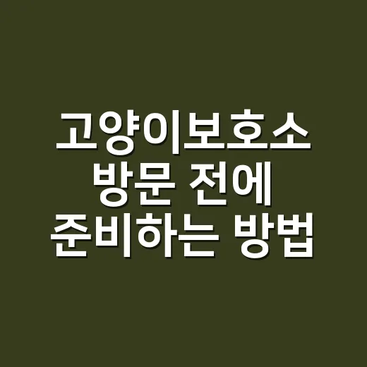 고양이보호소 방문 전에 준비하는 방법, 입양 고민 중이라면 이렇게 시작하세요 - 요약