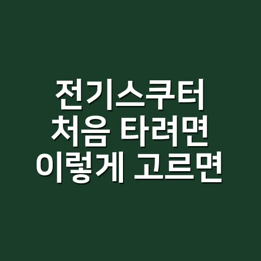 전기스쿠터 처음 타려면 이렇게 고르면 실패가 적어요 - 요약