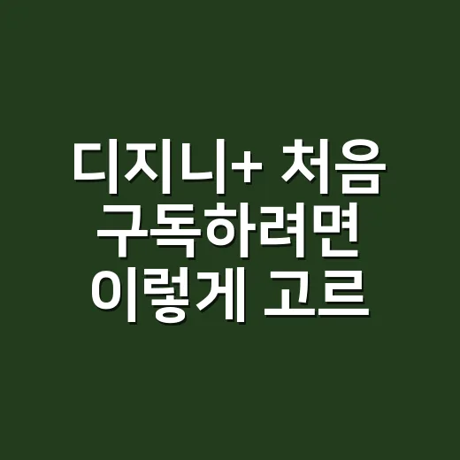 디지니+ 처음 구독하려면 이렇게 고르면 됩니다 - 요약