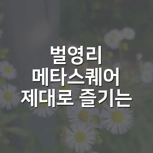 벌영리 메타스퀘어 제대로 즐기는 방법, 영덕 숲길 처음 가는 사람에게 - 요약