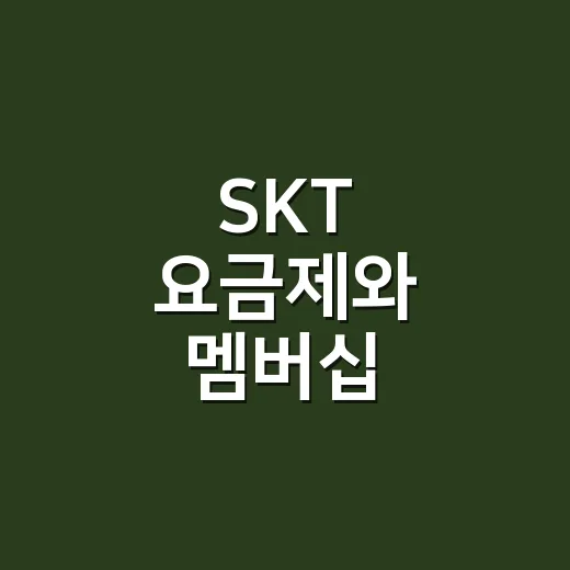 SKT 요금제와 멤버십 알뜰하게 쓰는 방법 - 요약